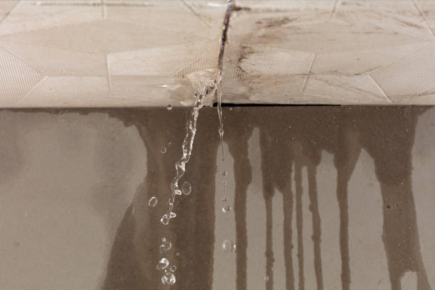 Professional Water Damage Repair technician working in Denton, TX
